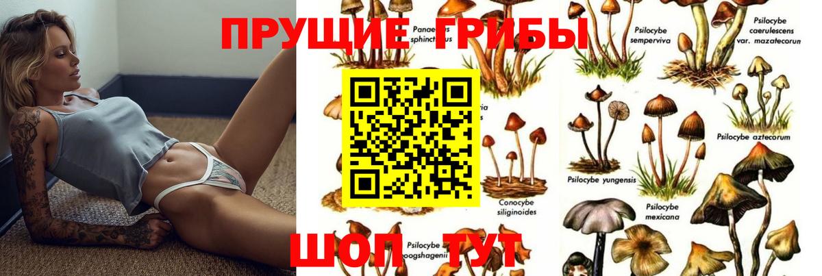 Псилоцибиновые грибы мухоморы Новочеркасск