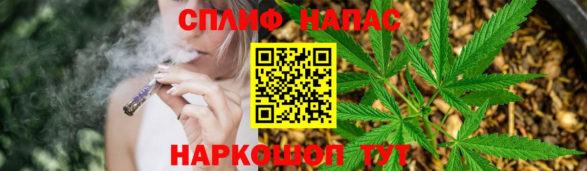 Канабис гибрид Новочеркасск